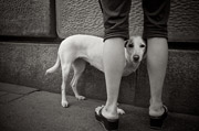 电话呼叫软件